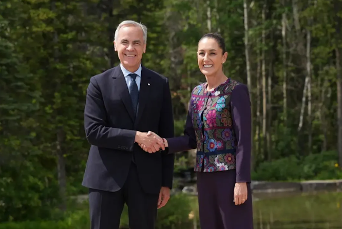 Captura de pantalla del sitio web Sufragio.