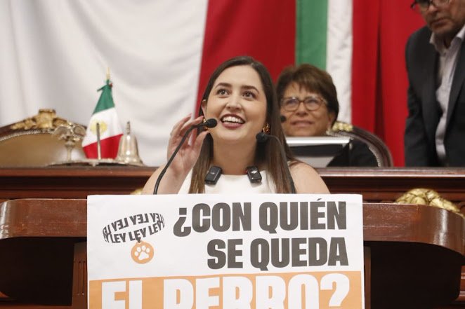 CDMX permite definir la custodia de mascotas en divorcios Diseño abstracto colorido y vibrante.