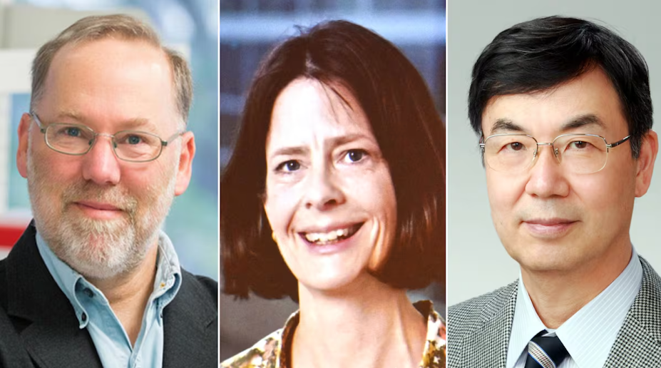 Captura de pantalla del sitio web Sufragio.