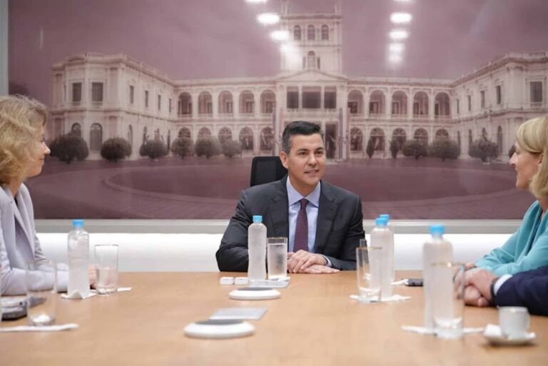 Santiago Peña urge a eurodiputados acelerar ratificación del acuerdo Mercosur-UE Santiago Peña urge a eurodiputados acelerar ratificación del acuerdo Mercosur-UE